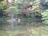 金閣寺の池